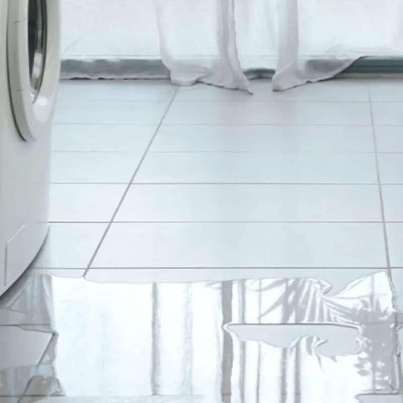 Appliance Leak Cleanup in Rains County, TX