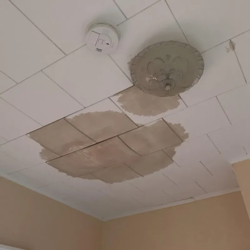 Ceiling Water Damage Repair in Rains County, TX