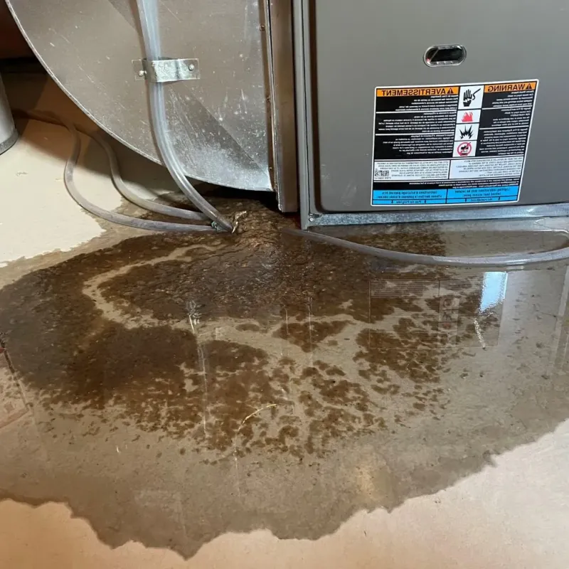 Pipe Burst and Leak Restoration in Rains County, TX