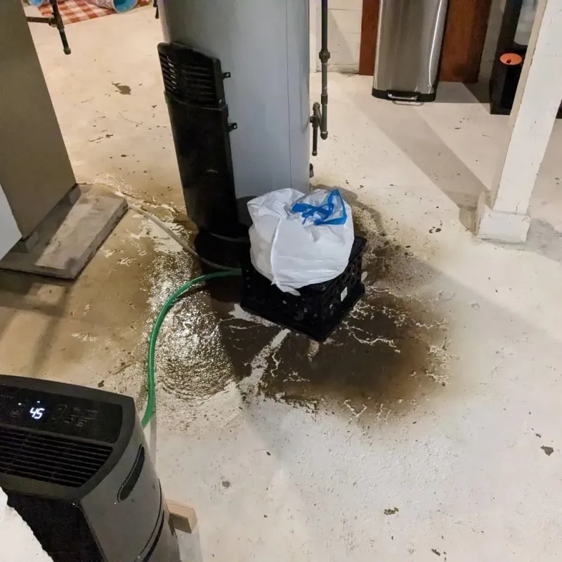Sewage Backup Cleanup Service in Rains County, TX